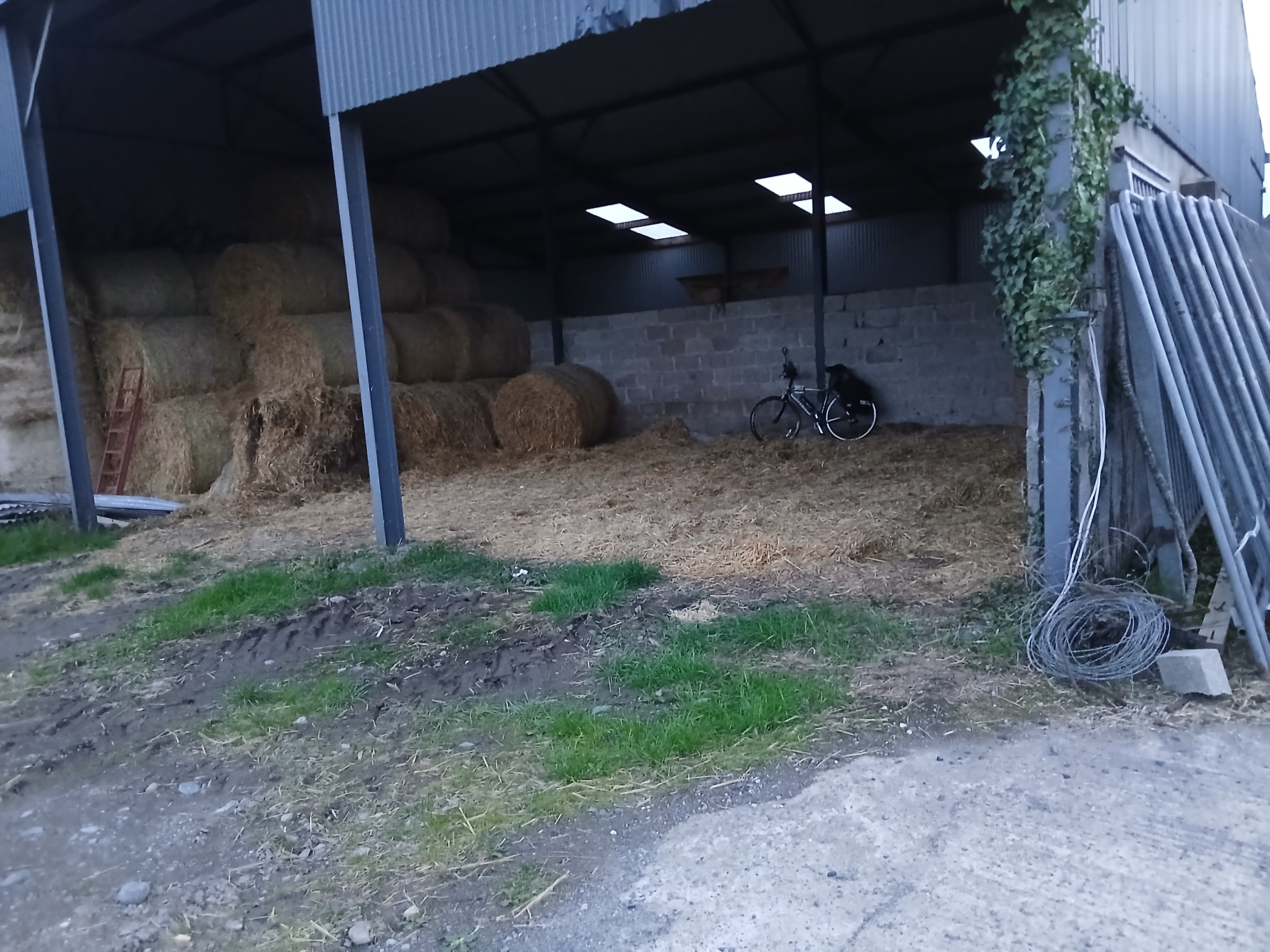 A metal hay barn where Eddy slept on his first night