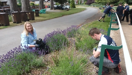 Kerry and Graeme get to grips with some weeding in a flower bed full of lavender. More colleagues from Thea Pharmaceuticals can be seen in the back ground, also weeding the path ways on the approach to Blind Veterans UK's Llandudno Centre of Wellbeing.