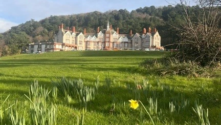 A field with daffodils in the foreground in front of the Llandudno centre