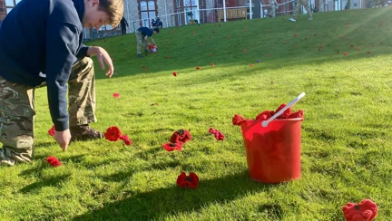 Learners from Military Preparation College of Training, Bangor planting poppies in the field