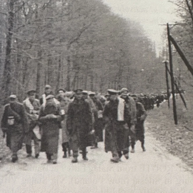A black and white photo of a large group of people marching down a long road