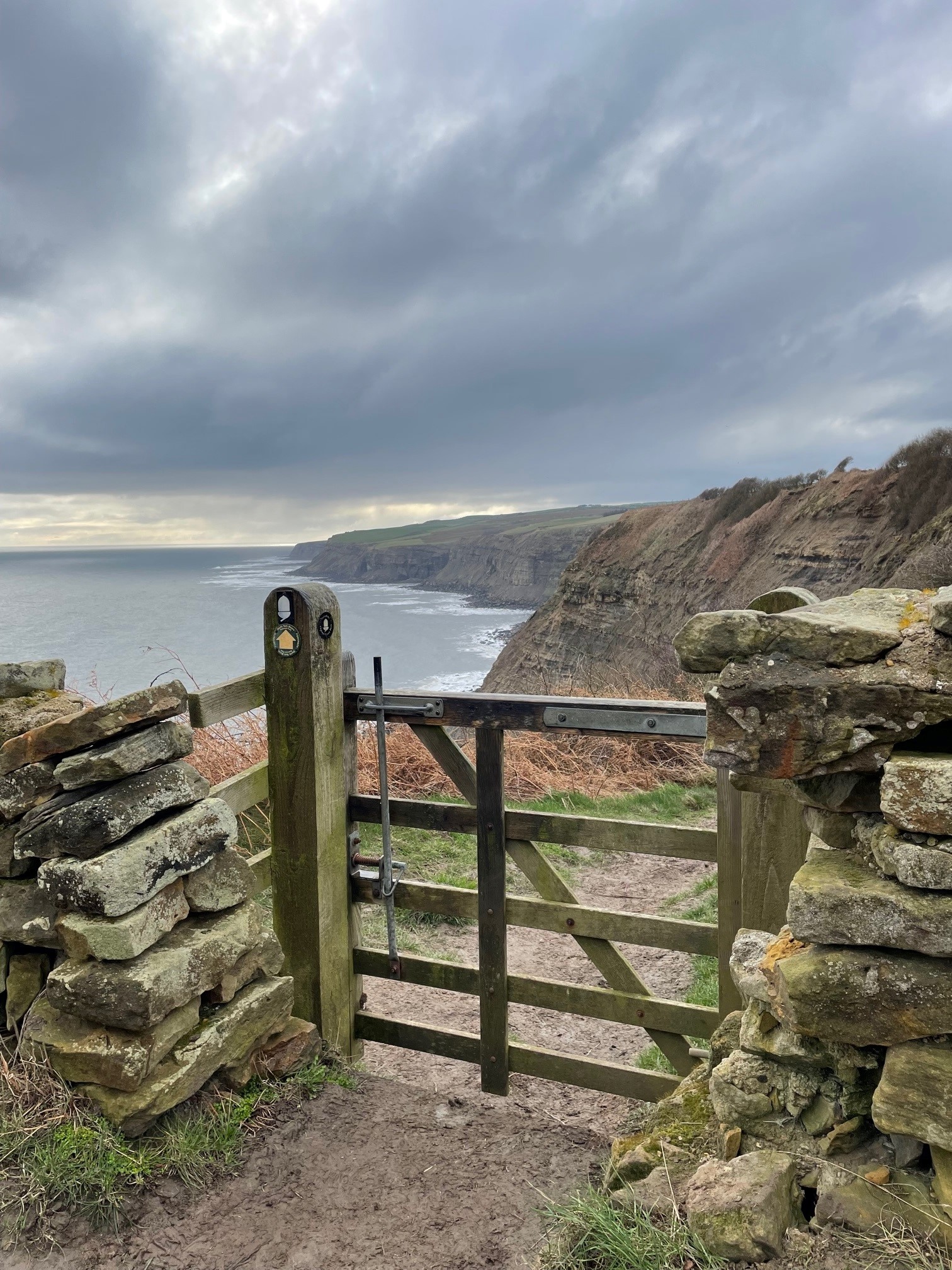 Coastal view from footpath on the Cleveland Way