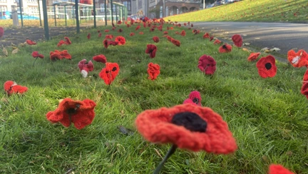 Knitted poppies planted on the filed