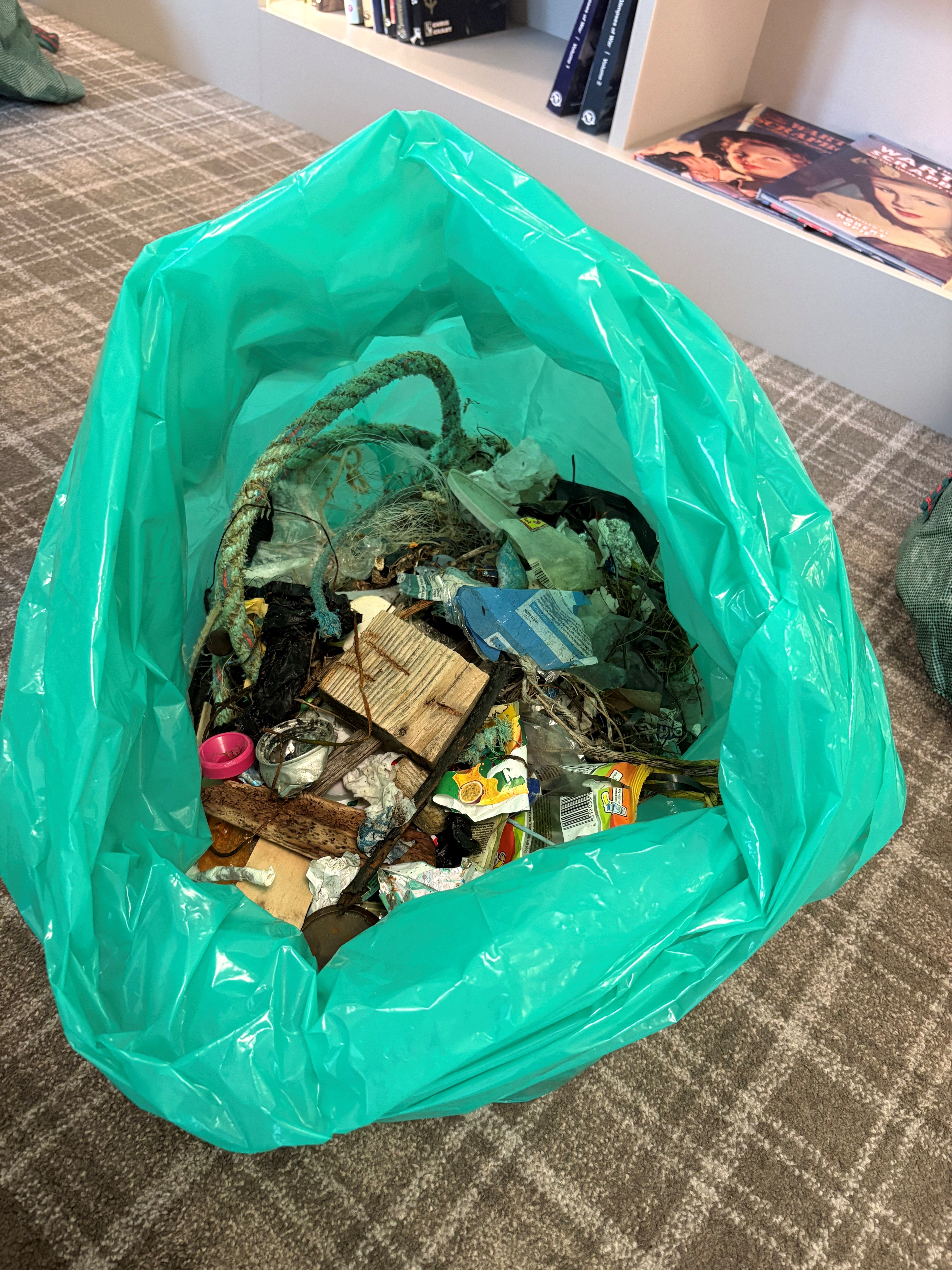 A green bin bag is open to show the assortment of litter collected from the beach it includes rope, fishing line, food packaging, small pieces of plastic and lots more unidentifiable pieces.