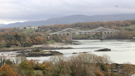 Menai Bridge with field and trees in the foreground