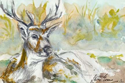 A painting of a stag combining pencil work and water colours