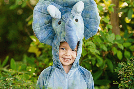 A photo of a young boy in an elephant cosumte