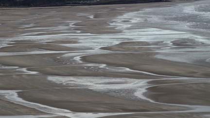 Wet sand at low tide
