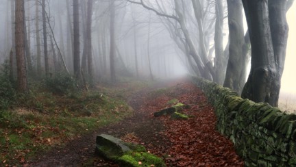 Photo of Matlock by blind veteran Chris