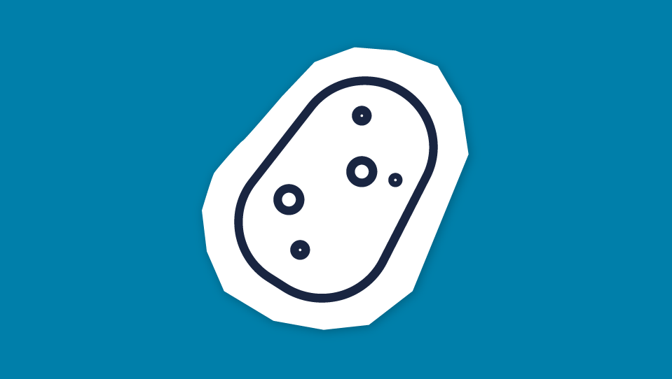 Icon of a potato
