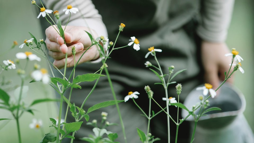 A person in overalls tending to some wildflowers