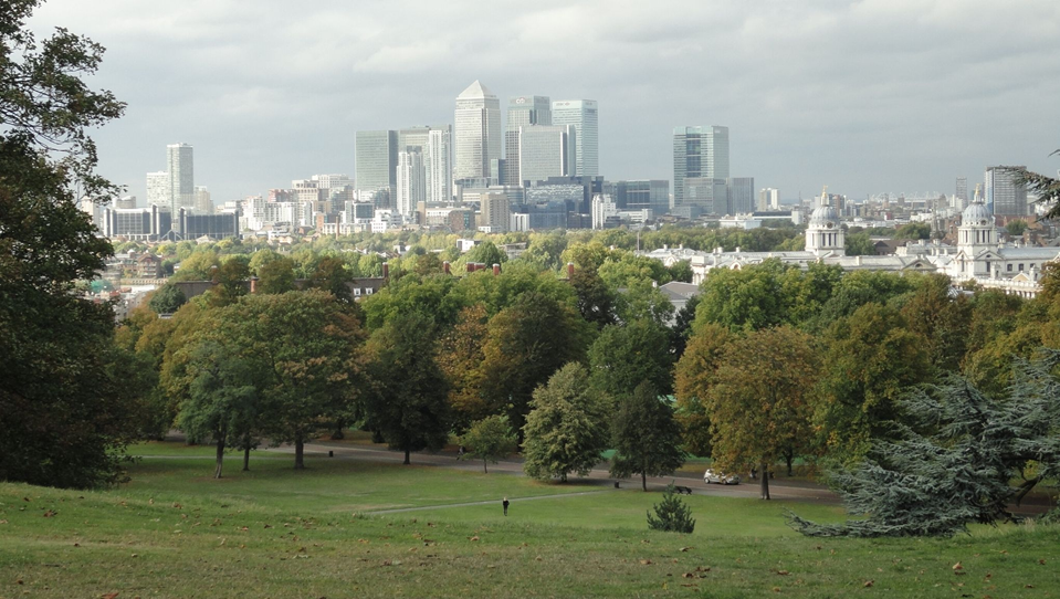 Bushy Park in foreground with London skyline in background.