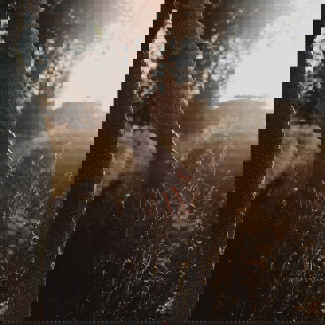 A photo of a person walking through grass during sunrise