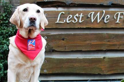 A photo of Zara the guide dog in a branded bandana in front of a Lest we forget sign